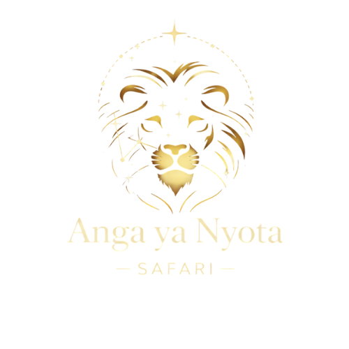 Logo Anga ya Nyota Safari – expériences de safari en Afrique